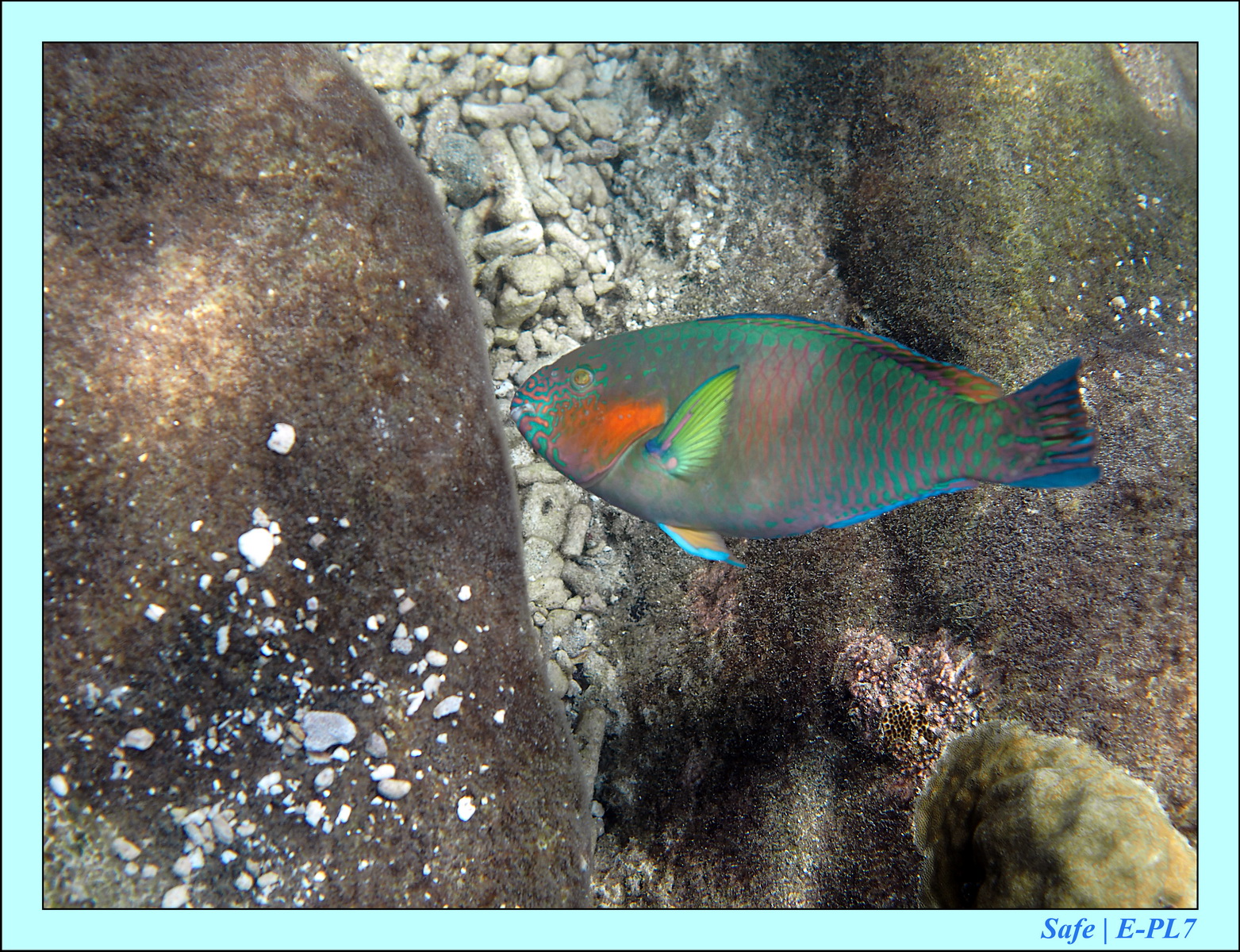 2016 - 07 - Leng Tengah - 070